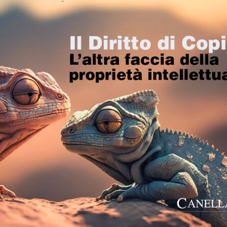 Il diritto di copiare